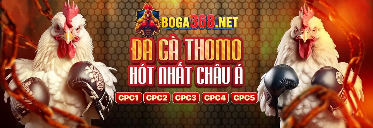 Các chương trình khuyến mãi đá gà hấp dẫn trên Kubet